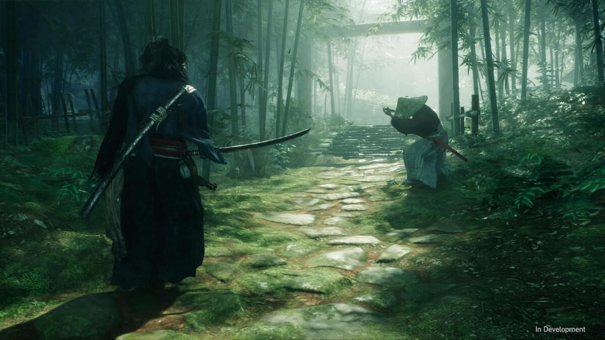Rise of the Ronin - Image 4